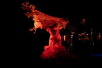 20220421_Stars_of_Flamenco_DSC0386
