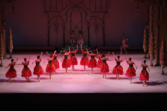20141229_Nutcracker_WPB_Flowers__CG3P2053