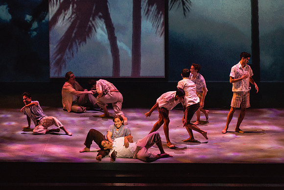 Before the Night Falls Florida Grand Opera by Jorge Martin with Dolores M. Koch
