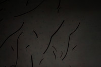 20160211_Sunset_DR_Closeup_IMG_6631