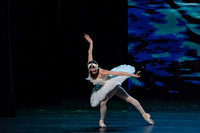 20241026_untitled20241026_Dying Swan__DSC5613