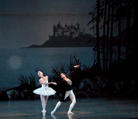 SWAN LAKE TEST RESIZED FOR EG
