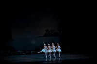 20151025_MCB_Swan_Lake_2Cast_Arsht_IMG_0055