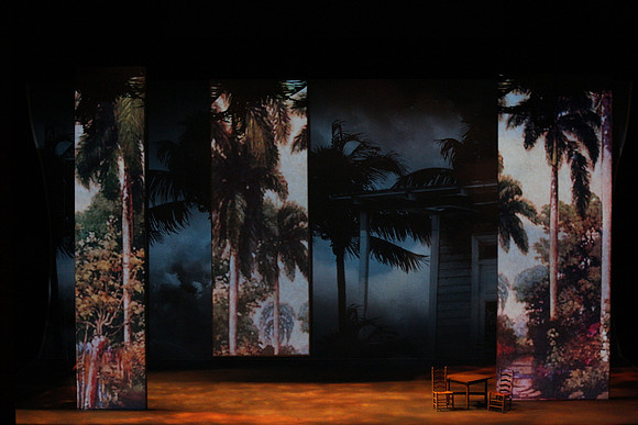 Before Night Falls Florida Grand Opera by Jorge Martin with Dolores M. Koch