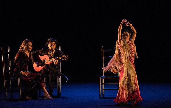 20170302_Stars_of_Flamenco_73A1983