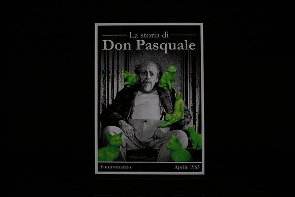 Don Pasquale Florida Grand Opera by Giovanni Ruffini and Gaetano Donizetti