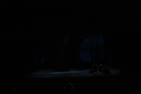 20161020_MCB_Giselle_Act2_DRNN_Arsht_9C7C0008