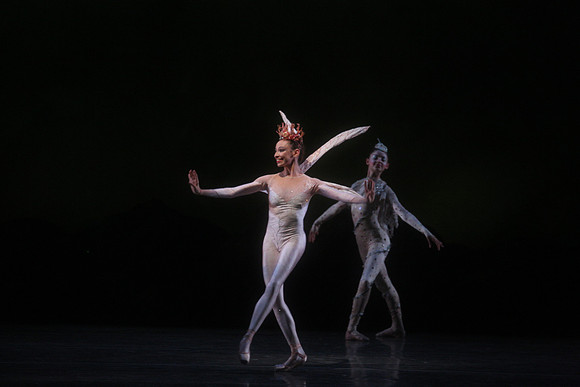 20160317_Midsummer_Night's_Dream_DR_Closeup_IMG_5443