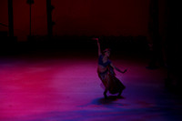 20141229_Nutcracker_WPB_Arabian_CG3P0835