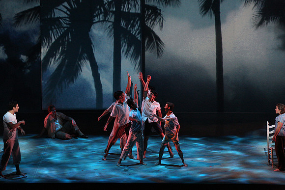 Before Night Falls Florida Grand Opera by Jorge Martin with Dolores M. Koch