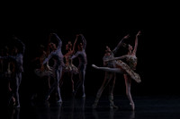 20160318_Midsummer_Night's_Dream_PR_Closeup_G3P0012