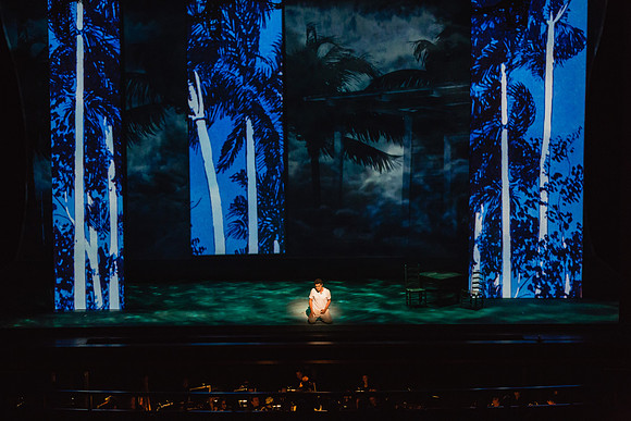 Before the Night Falls Florida Grand Opera by Jorge Martin with Dolores M. Koch
