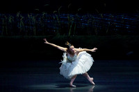 Swan Lake 2 Cast  for Amber double cheque it Tricia 0014