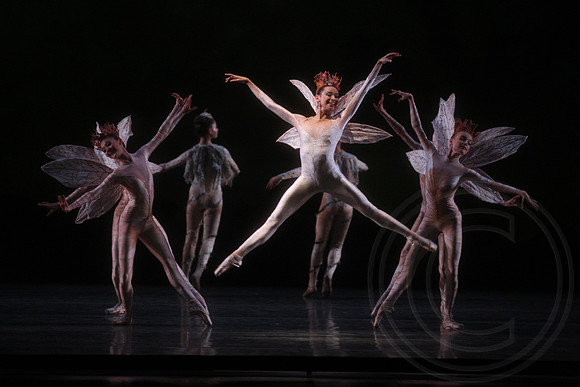20160317_Midsummer_Nights_Dream_DR_Closeup_IMG_5457
