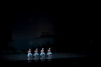20151025_MCB_Swan_Lake_2Cast_Arsht_IMG_0089