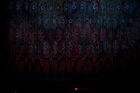 20160211_Year_of_The_Rabbit_Wide_S5A6503