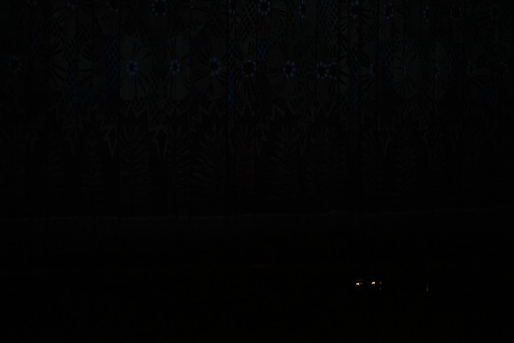 20160212_Year_of_The_Rabbit_Wide_PR20160212__S5A2642