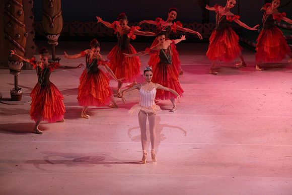 20141229_Nutcracker_WPB_Flowers__CG3P2151