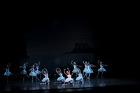 20151025_MCB_Swan_Lake_2Cast_Arsht_IMG_0562 copy