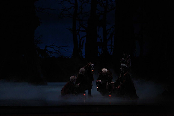 20161020_MCB_Giselle_Act2_DRNN_Arsht_9C7C0020