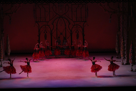 20141229_Nutcracker_WPB_Flowers__CG3P2028