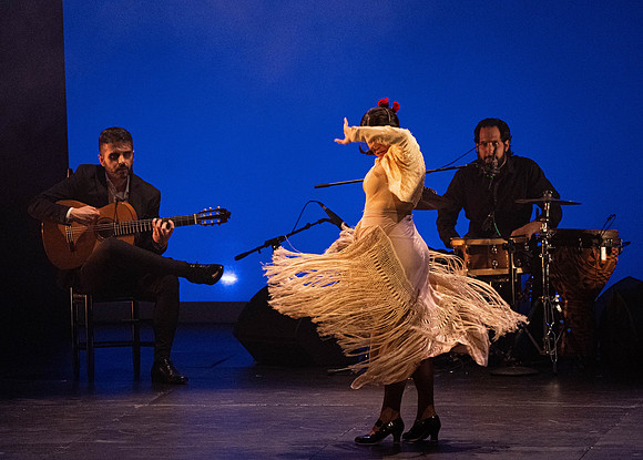 20220421_Stars_of_Flamenco_DSC9592