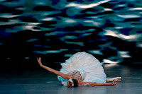 20241026_untitled20241026_Dying Swan__DSC5817