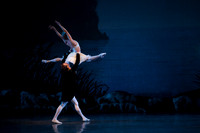 20151022_MCB_Swan_Lake_DR_Arsht_IMG_7714