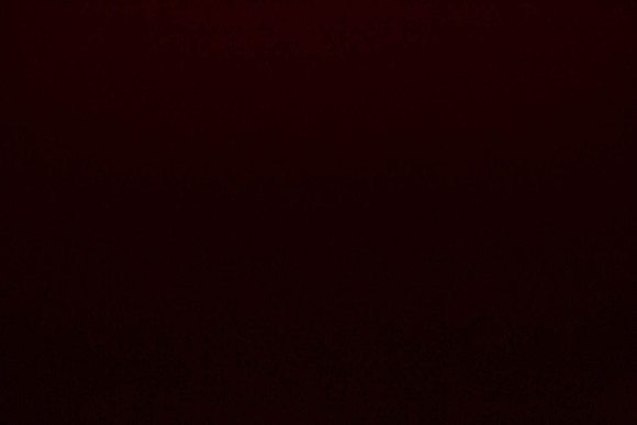 AL1B6530