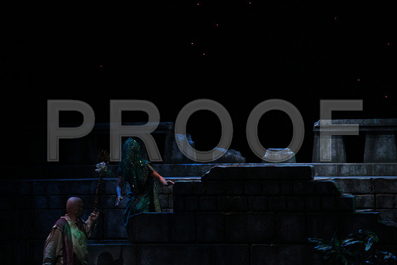 20150303_Pearl_Fisher_Act2_CG3P5916