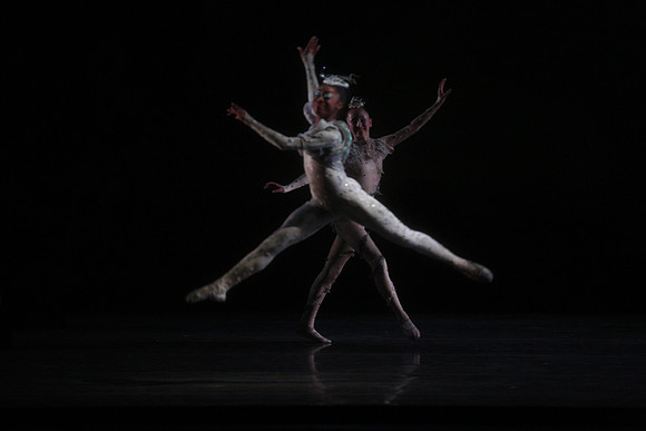 20160317_Midsummer_Night's_Dream_DR_Closeup_IMG_5424
