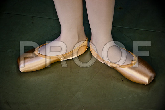 20110922_Miami_City_Ballet_173611_ZV4N1591