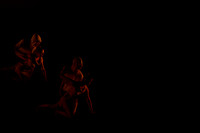 20130222-AL1B1747