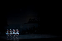 20151025_MCB_Swan_Lake_2Cast_Arsht_IMG_0003