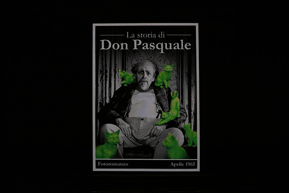 Don Pasquale Florida Grand Opera by Giovanni Ruffini and Gaetano Donizetti