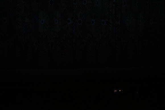 20160212_Year_of_The_Rabbit_Wide_PR20160212__S5A2641