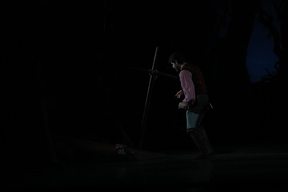 20161020_MCB_Giselle_Act2_DRDA_Arsht_73A5926