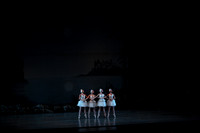 20151025_MCB_Swan_Lake_2Cast_Arsht_IMG_0016