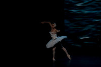 20241026_untitled20241026_Dying Swan__DSC5609