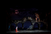 5029_DG_Miami_City_Ballet_Romeo_and_Juliet_Broward_center_2011IMG_0569