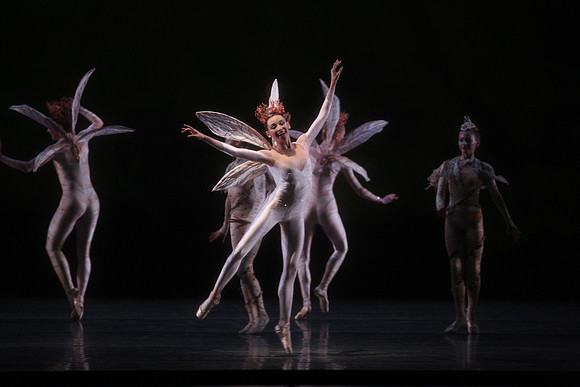 20160317_Midsummer_Night's_Dream_DR_Closeup_IMG_5483