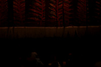20151025_MCB_Vicera_2Cast_Arsht_CG3P2915