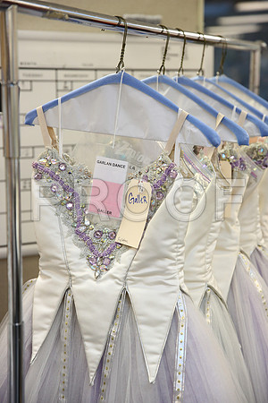 20150901_Fitting_Swan_Lake_Wardrobe_IMG_6328