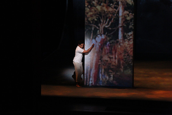 Before Night Falls Florida Grand Opera by Jorge Martin with Dolores M. Koch