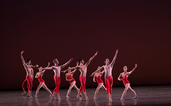 CG3P3818